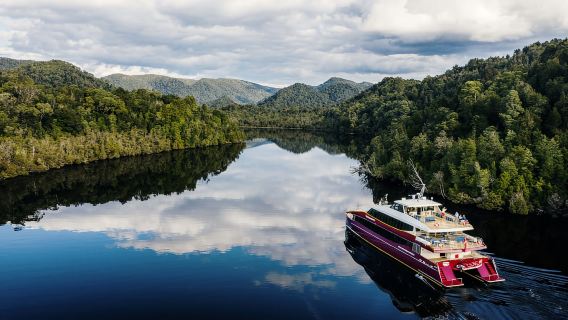 Strahan: Crucero Patrimonio Mundial por el río Gordon con almuerzo