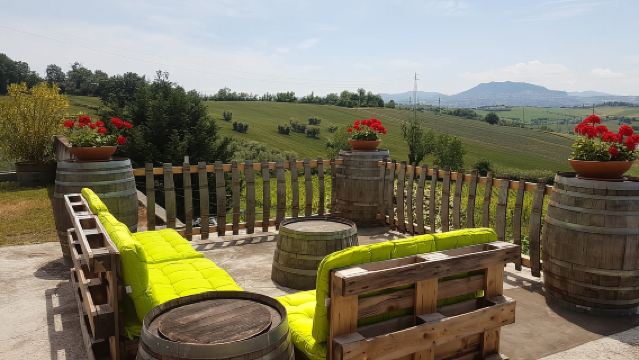 Rimini : dégustations de vins DOC San Valentino