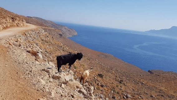 Balos Beach Off-Road Bus – Daily Departure from Kissamos