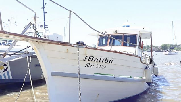 Experiencia en tour panorámico al atardecer en barco