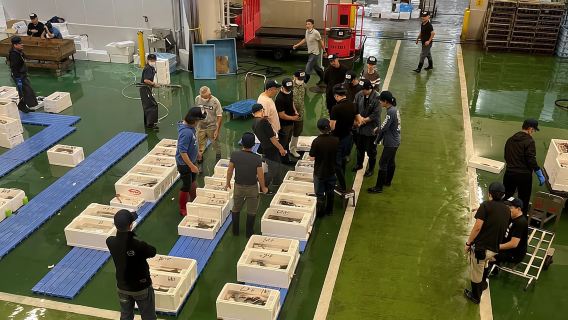 Kyoto: Tur Jalan Kaki Pasar Ikan Grosir