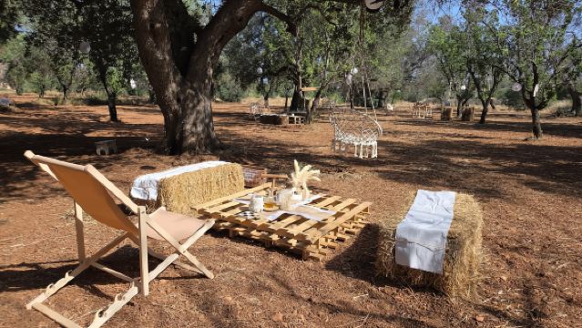 Olive Oil and almond Tour and Tasting: Brindisi, Ostuni
