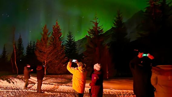 Tromsø: Northern Lights Hunt. Local Guide, Private Basecamp.