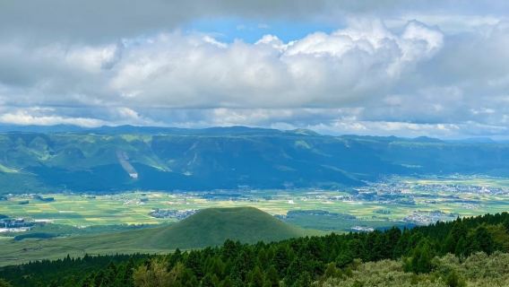 日本九州-福岡往返-大分海之卵水族館-春日神社-大分精品遊