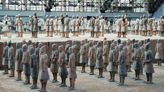 1-day tour to visit the national treasure panda (Qizai) + Terracotta Warriors (Private tour with Chinese/English guide)