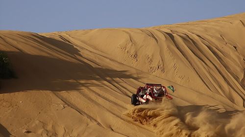 Vip Sunset Evening Safari Dubai: Camel Ride, Shows & BBQ Dinner Day Tours 8