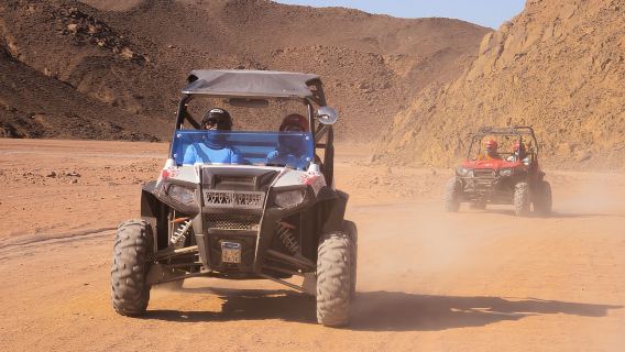 マカディ湾：ATV、海の景色、ラクダ、星空観察、ディナー＆ショー