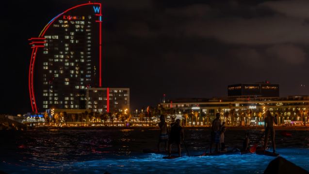 Starlight Paddlesurf during the night in Barcelona
