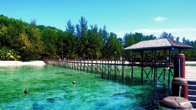 マレーシア・ランカウイで体験ダイビング&シュノーケリング6時間【マヌカン島 + マムティク島でシュノーケリング、パラセーリング、バナナボート、海底散歩】