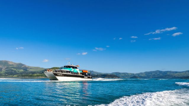 Акароа: природный круиз на корабле Black Cat