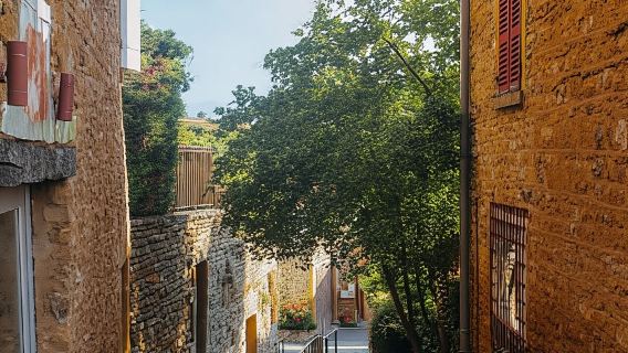 From Lyon: Golden Stones Beaujolais Wine Tasting Tour