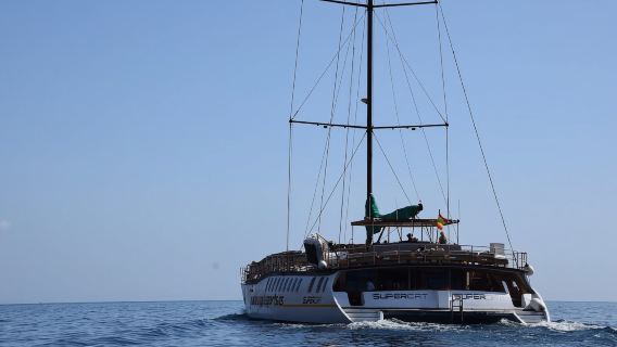 Puerto Rico : 2 hour Dolphin Catamaran Excursion