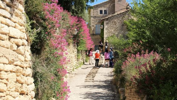 Fra Avignon: Halvdag i les Alpilles