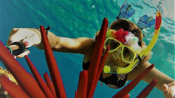 Maui Snorkel Adventure: Molokini Crater and Turtle Cove