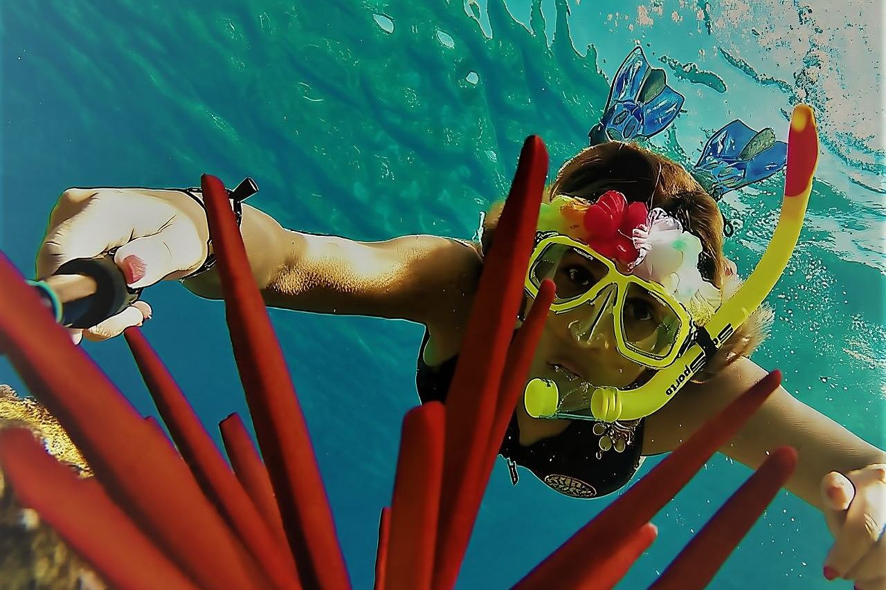 Maui Snorkel Adventure: Molokini Crater and Turtle Cove