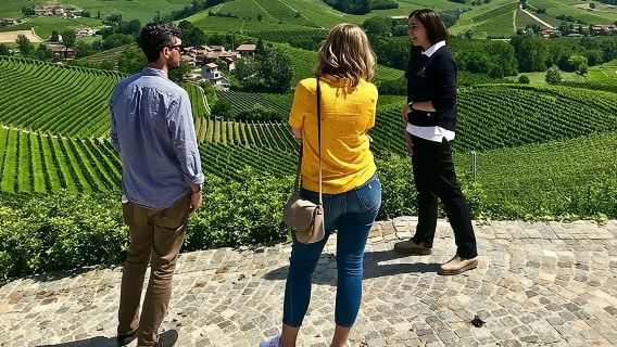 Langhe Wine Tour and Tasting - One day with a Somm