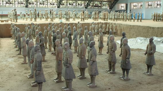 Halve dag groepstour zonder winkelen naar het Terracottaleger