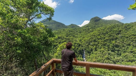 Private 6-hour Hiking Tour in the Tijuca Forest: Waterfalls, Viewpoints & Picnic