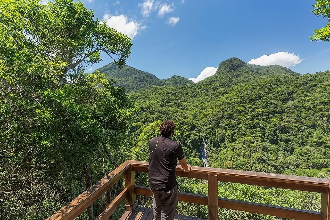 Private 6-hour Hiking Tour in the Tijuca Forest: Waterfalls, Viewpoints & Picnic
