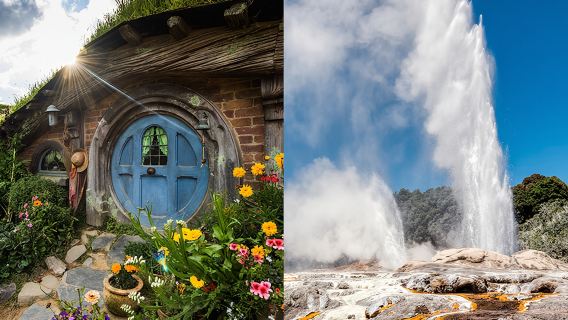 New Zealand Rotorua + Hobbiton Village + Te Puia Maori Cultural Village one-day tour