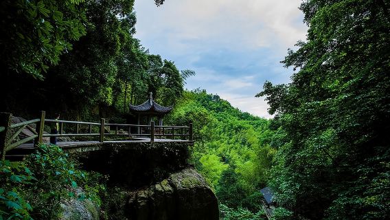 Randonnée et plogging dans la réserve naturelle du mont Mogan – Excursion guidée en plein air au départ de Hangzhou