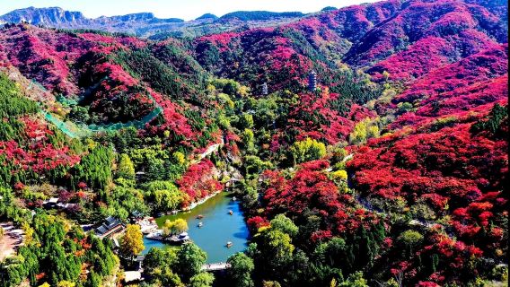 山東旅行服務