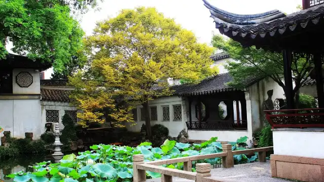 從南京出發，搭乘高鐵，彈性安排蘇州私人一日遊