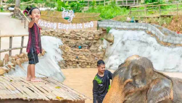 布吉島芭東擁抱大象保護營【洗澡/餵食/親子互動/酒店接送】