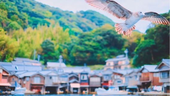 Amanohashidate Viewland + Ine Funaya 1-day tour, round-trip from Osaka, with complimentary airport-hotel bus ticket