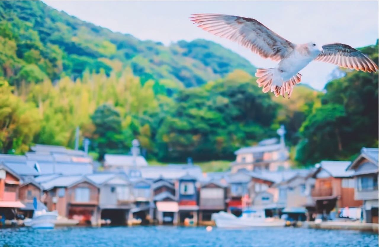 Amanohashidate Viewland + Ine Funaya 1-day tour, round-trip from Osaka, with complimentary airport-hotel bus ticket