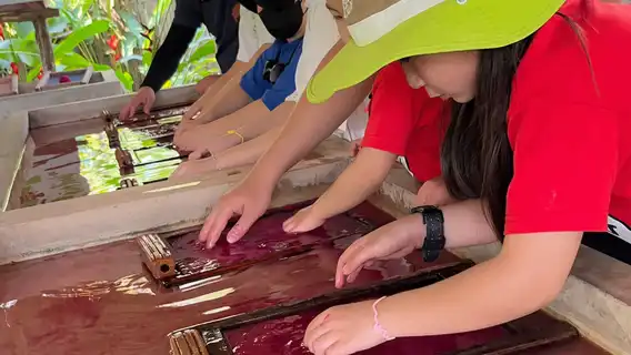 清邁納財大象營一日遊【騎大象/大象洗澡+粘粘瀑布含午餐】