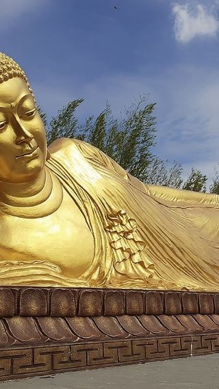 Half Day North Bintan Tour with Seafood Lunch and Hotel Transfer | Indonesia