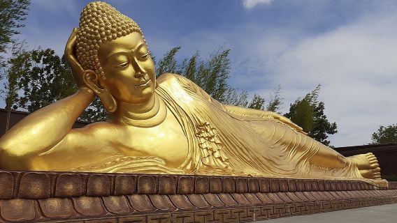 Half Day Bintan Tour with Seafood Lunch and Hotel Transfer | Indonesia