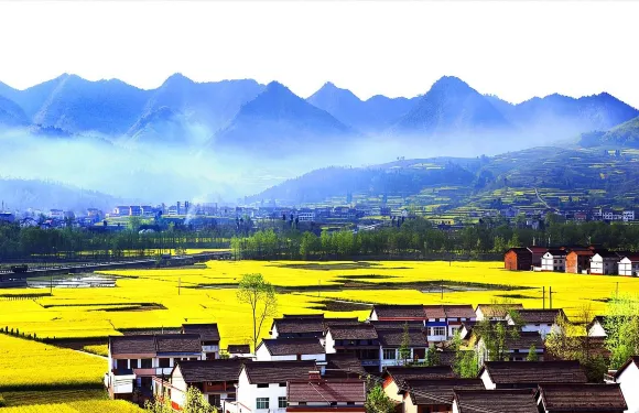 6人團-漢中油菜花+草川子旅遊度假區