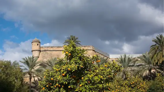 ปาล์มา เด มายอร์กา: ทัวร์เดินชมมหาวิหารพร้อมขนมอบ