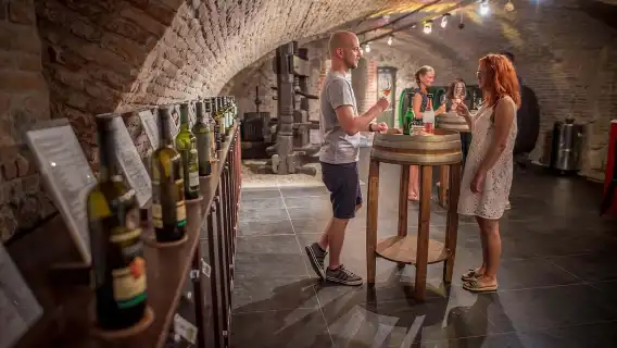 Bratislava: Wine Tasting with Sommelier