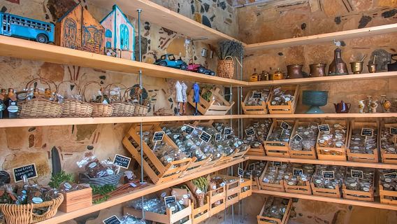 Da Paphos: visita guidata di Limassol con la Roccia di Afrodite