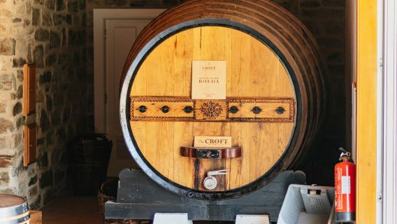 Porto: Valle del Douro con pranzo in cantina, degustazioni e crociera