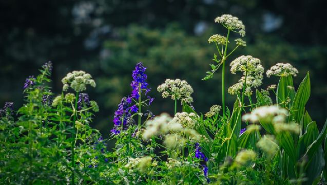ทัวร์รถจี๊ปครึ่งวันที่ดูรังโก - หุบเขา La Plata