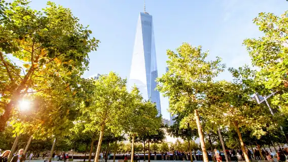 Ground Zero 9/11 Memorial Tour & Optional 9/11 Museum Ticket