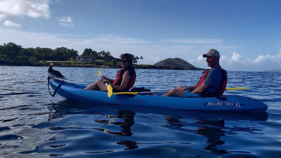 Maui: Kajak- und Schnorcheltour in der Makena Bay