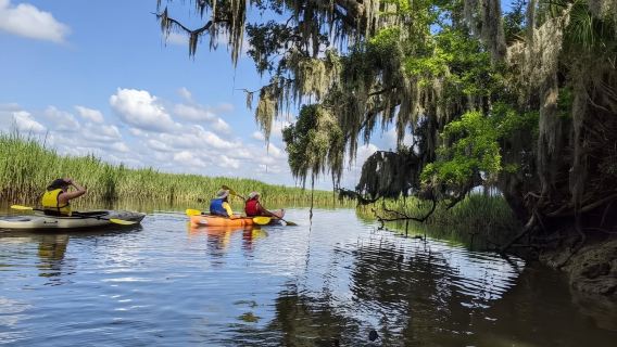 Bluffton: Kajaktour durch Natur und Geschichte auf dem May River