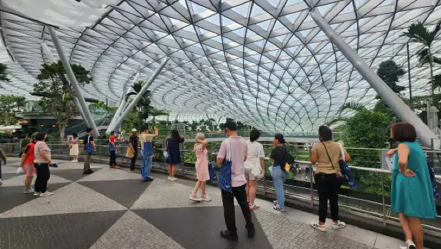 新加坡：探索星耀樟宜導覽遊