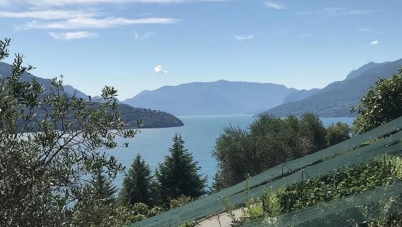 Lake Como: Winery Tour with Wine Tasting