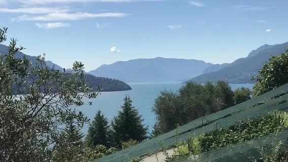 Lago di Como: tour delle cantine con degustazione di vini