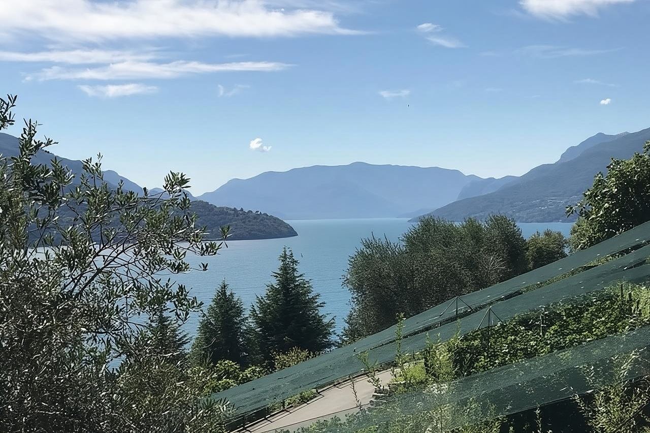 Lake Como: Winery Tour with Wine Tasting