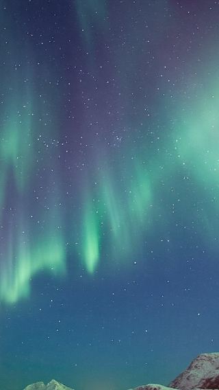 Norway Tromso Departure: Northern Lights Cruise & Fjord Night Tour + Classic Cruise