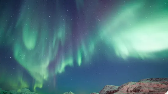 Tromsø Fjord Night Cruise, Norway [Classic cruise/Chasing the Stunning Northern Lights/Free Coffee or Tea]