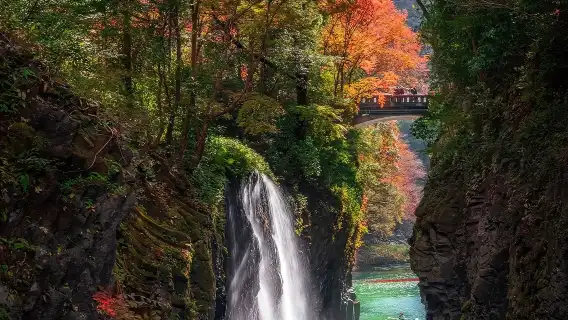 One-Day Trip from Fukuoka to Miyazaki: Takachiho Gorge + Kamishikimi Kumanoimasu Shrine (Kumamoto) + Amanoiwato Shrine