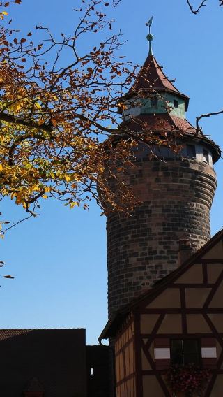 1-day tour of Imperial Castle of Nuremberg + Nuremberg Frauenkirche + Nuremberg Zoo